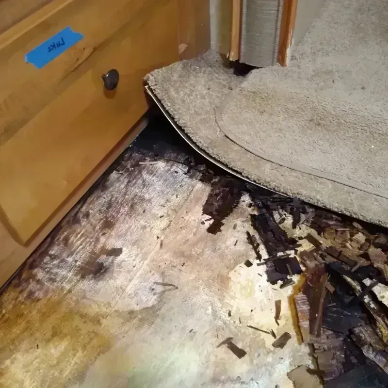 Best Wood Floor Water Damage Service in Pender, NE